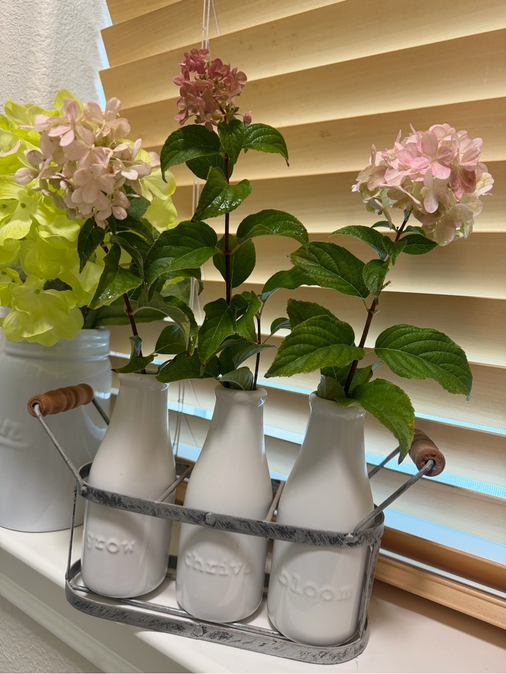 Vintage Style Grow Bloom Thrive Vase Set 3 White Ceramic Wire Basket Farmhouse
